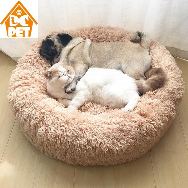 Pet beds